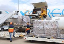 Llegan al país 21.182 kilos de alimentos no perecederos para familias en refugios transitorios