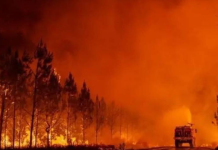 Francia en Alertâ: incendiøs forestales fuera de control acaban con 400 hectáreas en Córcega