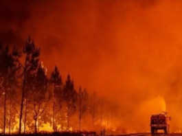Francia en Alertâ: incendiøs forestales fuera de control acaban con 400 hectáreas en Córcega