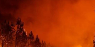 Francia en Alertâ: incendiøs forestales fuera de control acaban con 400 hectáreas en Córcega
