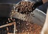 Familia campesina de El Hatillo impulsa producción agroecológica de café, cacao y hortalizas