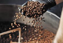 Familia campesina de El Hatillo impulsa producción agroecológica de café, cacao y hortalizas