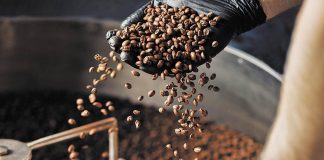 Familia campesina de El Hatillo impulsa producción agroecológica de café, cacao y hortalizas