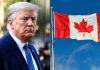 EE. UU. impone un arancel del 50 % a productos de Canadá para compensar la caídâ en sus exportaciones de vehículos y licorës