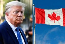 EE. UU. impone un arancel del 50 % a productos de Canadá para compensar la caídâ en sus exportaciones de vehículos y licorës