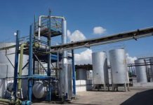 Maurel & Prom factura $366 millones en el semestre y reactiva exportaciones desde Venezuela