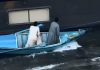 El curioso mercado flotante del Nilo: así venden ropa en movimiento a los turistas (+ Video)