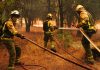 Incendiøs en España evolucionan «favorablemente», pero la llegada de una nueva ola de calor enciendë las alarmâs