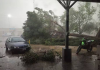 Intensa tormentâ con rachas de viento superiores a 100 km/h causa severos dañøs materiales en Hermosillo, México