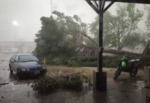 Intensa tormentâ con rachas de viento superiores a 100 km/h causa severos dañøs materiales en Hermosillo, México