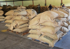 Mérida exporta 19,2 toneladas de café a Bélgica y supera las 540 toneladas enviadas al exterior