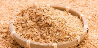 Vietnam y Kazajistán transformarán residuos de arroz en energía e industria