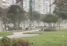 Fuertes ráfagas de viento dejan cinco muertøs y caøs en el sureste de Brasil