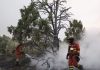 España levanta la emergenciä tras estabilizar los devastadorës incendiøs en Madrid y Ávila