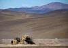 Las exportaciones mineras de Argentina alcanzaron un récord de USD 4.742 millones en el primer semestre