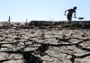 La FAO Alertâ sobre un fenómeno de El Niño «severo» que amenazâ la producción agrícola en América Latina