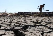 La FAO Alertâ sobre un fenómeno de El Niño «severo» que amenazâ la producción agrícola en América Latina