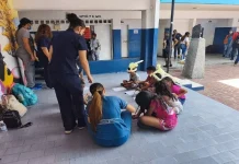 Federación de Psicólogos de Venezuela activa una red de apoyo y asistencia psicológica gratuita para los afectadös por sismös