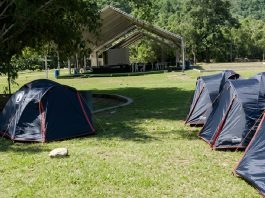 Con más de 300 carpas y servicios garantizados, habilitan el complejo Los Caracas para albergar a los ciudadanos damnific@dos