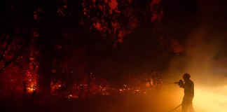 Récord histórico de dev@stación en Francia: más de 220.000 evacuÄdos y 42.000 hectáreas arrÄsadas por incËndios forestales