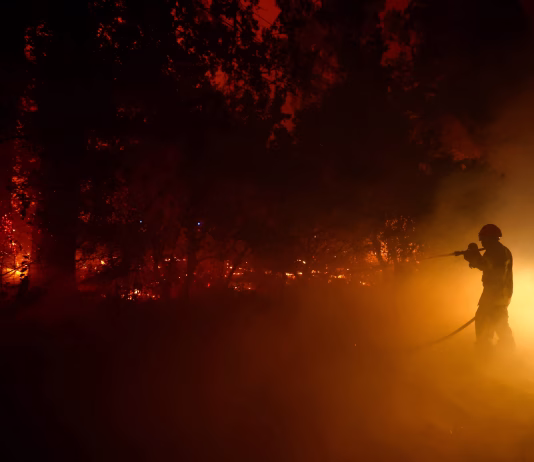 Récord histórico de dev@stación en Francia: más de 220.000 evacuÄdos y 42.000 hectáreas arrÄsadas por incËndios forestales