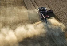 Ola de calor extrËmo en el continente europeo destruye toneladas de trigo y cebada, generando pérdidas millonarias (+ Detalles)