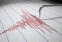 SismÖ de magnitud 3.6 sacudió la costa del estado La Guaira la noche de este sábado