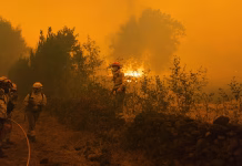Gobierno venezolano expresa su solidaridad con España y Francia ante los cat@stróficos incËndios forestales que superan los 250.000 evÄcuados