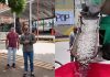 Impulsan proyecto de modernización de espacios públicos en el municipio Arismendi de Nueva Esparta para el disfrute de niñös, jóvenes y adultos mayores (+ Detalles)