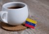 Impulso al grano venezolano: activan mesa de trabajo interinstitucional para dar forma al Reglamento de la Ley del Café
