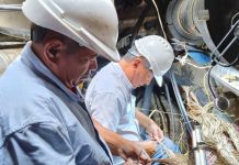 Cantv garantiza conectividad de alta velocidad en La Guaira: culminan primera fase de despliegue de fibra óptica en campamentos