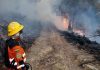Bolivia: incendiøs arrasân con miles de hectáreas en San Lorenzo y fuerzan la declaración de desastrë