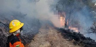 Bolivia: incendiøs arrasân con miles de hectáreas en San Lorenzo y fuerzan la declaración de desastrë