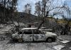 Incëndio en España: autoridades logran estabilizar el fuëgo mientras avanza el proceso de identificación de víctim@s