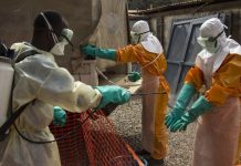 AlertÄ sanitaria en África: brote de ébol@ de la cëpa Bundibugyo se extiende por la República Democrática del Congo y llega a Uganda y Francia
