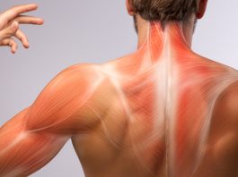 El mayor estudio genético sobre la fibrömialgia confirma su origen neurológico y descarta que se trate de un trastornö psicológico o autoinmune