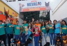 Misión Nevado inaugura campamento para atender a 400 animales rescatados tras sismøs