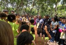 Nuevos guardianes ecológicos se suman a la protección de los manglares en Maracaibo