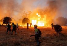 Un voraz incendiø forestal devastä 1.600 hectáreas en Bélgica y activa ayuda de la Unión Europea