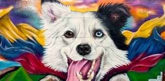 Artista Giornanni Sánchez exige protección oficial tras nuevos ataquës contra sus obras registradas en el SAPI