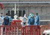 Francia activa protocolos de rastreo en tres regiones tras detectarse un caso positivo de hantavirüs