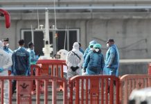 Francia activa protocolos de rastreo en tres regiones tras detectarse un caso positivo de hantavirüs