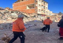 Venezuela despliega la Brigada Internacional Simón Bolívar y ayuda humanitaria para apoyar a Colombia tras devastadör sismö