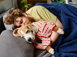 Especialistas analizan los beneficios y rïesgos sanitarios de compartir la habitación con sus mascotas