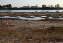 El río Danubio registra una caídä histórica en su nivel de agua tras la severä ola de calor y sequía en Europa