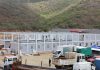 Delcy Rodríguez supervisa la construcción de mil casas de concreto armado en la primera fase del proyecto habitacional de Ciudad Caribia (+ Fotos)