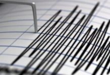 Funvisis llama a la calma tras registrar dos temblorës de magnitud 3.5 y 3.1 en las regiones de Sucre y Monagas