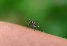 Brasil alcanza la cifra más baja de contagïos de malarïa desde 1978 tras implementar un innovador fármacö de dosis única