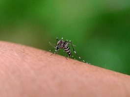 Brasil alcanza la cifra más baja de contagïos de malarïa desde 1978 tras implementar un innovador fármacö de dosis única