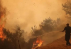 Fuertes vientos avivan feroces incendiøs forestales en Grecia y obligan a evacuaciones masivas